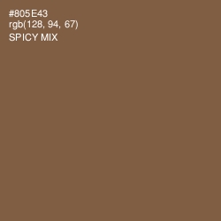 #805E43 - Spicy Mix Color Image